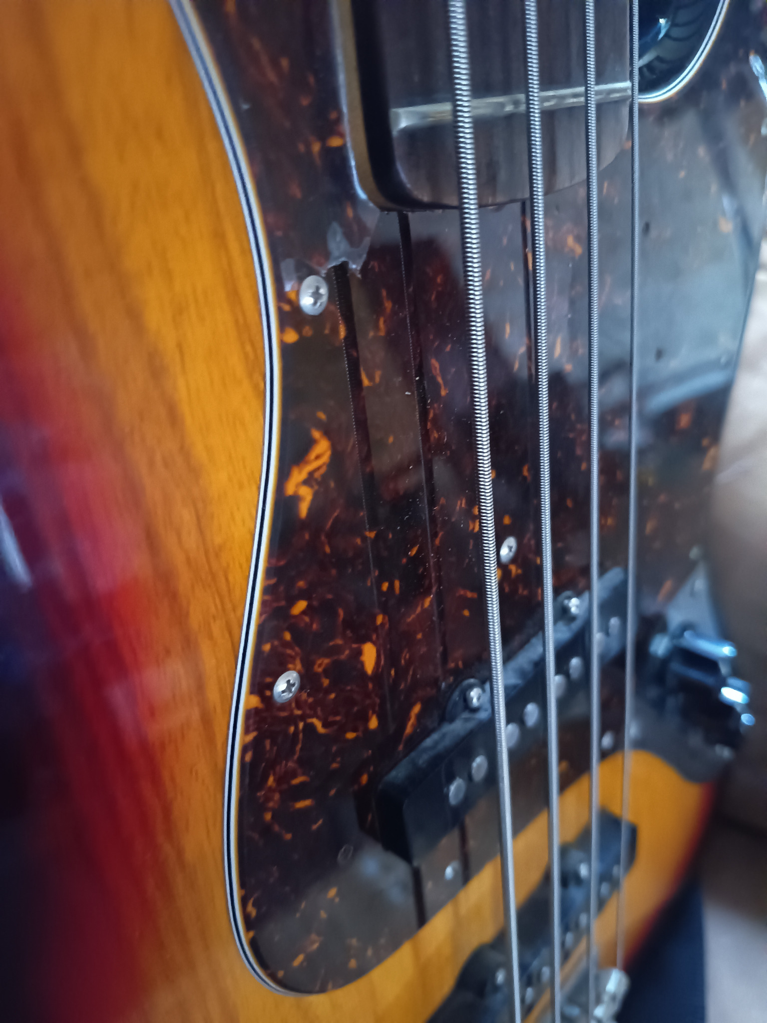 Détail des cordes et du corps d’une basse électrique
